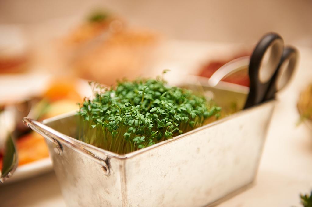 Vegan Hotel Und Restaurants Nicolay 1881 Zeltingen-Rachtig Eksteriør bilde
